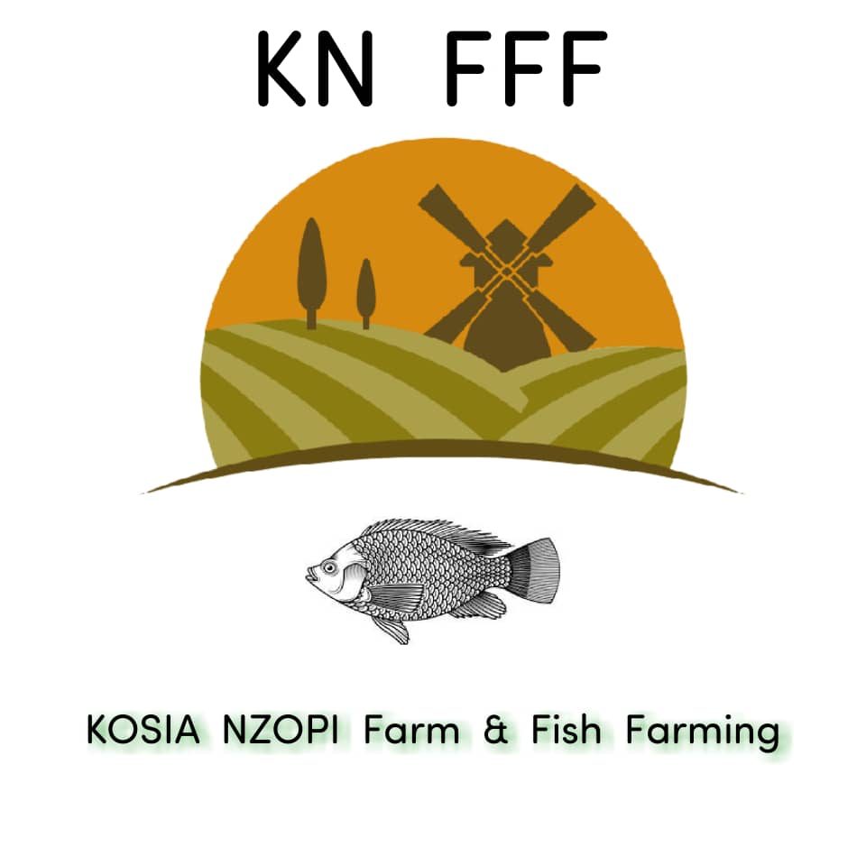 Logo Minoterie Nzopi